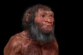 Why a mysterious group of ancient humans doesn’t have a species name