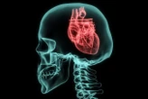 How your heart rate variability can offer an insight into your mind