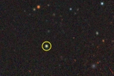 Little red dot galaxies have now been found in our local universe