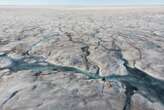 Dark algae could accelerate melting of Greenland ice sheet