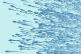 The laws of physics were broken in 2023 - by sperm