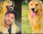 CÃ£o Joca morreu em voo de volta para SÃ£o Paulo, aponta inquÃ©rito policial