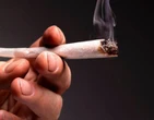 O que Ã© o transtorno por uso de cannabis, que afeta atÃ© 20% dos usuÃ¡rios de maconha