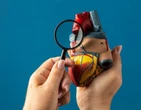 Para alÃ©m da insulina; diabetes tambÃ©m afeta o coraÃ§Ã£o; saiba como