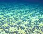 Cientistas descobrem âoxigÃªnio negroâ no fundo do mar