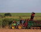 Uberaba lidera o agronegÃ³cio em Minas e na RegiÃ£o Sudeste