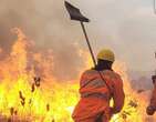 Fogo volta em Ã¡reas controladas e combate segue em cinco incÃªndios em MG