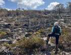 IncÃªndios no cerrado mineiro ameaÃ§am plantas raras de extinÃ§Ã£o