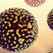 Hepatite viral: saiba como nÃ£o pegar a doenÃ§a
