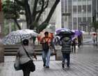 Chuva forte em BH: Defesa Civil foi acionada quase 100 vezes em 24 horas