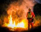 DivinÃ³polis lidera ranking de incÃªndios em vegetaÃ§Ã£o no estado