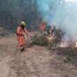 MG: bombeiros atendem a mais de 250 chamados de incÃªndio em 24 horas