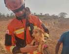 Grande BH: bombeiro adota cadela resgatada de buraco de 10 metros