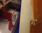 Grande BH: casal destrÃ³i quarto de motel durante discussÃ£o; veja vÃ­deo