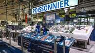 Poisson : le Haut-Commissariat au Plan préconise la relance de l'aquaculture