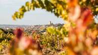 Châteauneuf-du-Pape veut étoffer sa production de blancs