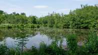 Essonne : le marais de la Grande-Ile rouvre au public