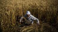 Agriculture : l'influence croissante des pays émergents