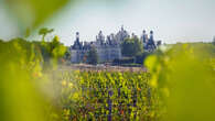 Vin : à Chambord, une renaissance viticole