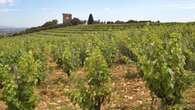 La troublante vente de 20 hectares de vigne qui déchire le Châteauneuf-du-Pape