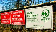 Les prix du bois en forêt privée marquent le pas