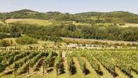 La famille Antinori ou l'incroyable renaissance du vin italient