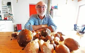 « Je ne veux pas voir des cueilleurs de champignons au milieu d’une battue aux sangliers », s’inquiète ce propriétaire forestier breton