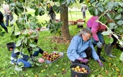 Fêtes automnales, festival médiéval, salons en tous genres… Que faire en Bretagne ce week-end des 11 et 12 octobre 2025 ?