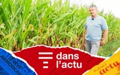 Sécheresse dans les champs et nappes phréatiques basses, chats errants à Molène : T dans l’actu fait le tour de l’info