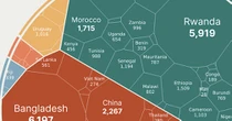 Peacekeeping: chi crede nei Caschi Blu dell'Onu #Infographics