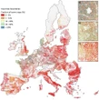 Agricoltura, le colture di copertura sono rilevanti e servono più dati
