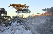 Mínima de 10ºC em SP e 9 estados nos 5ºC: frente fria atinge Brasil no fim de semana