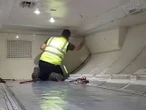 VIDEO: Serpiente en vuelo de Virgin Australia causa retraso de dos horas