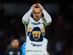 Aaron Ramsey pide ayuda para encontrar a su perro perdido en San Miguel de Allende