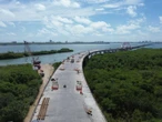 Puente Nichupté ha permitido el rescate y reubicación de 2 mil 125 especies: SICT