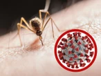 Otro virus se propaga por China: más de 7000 contagios