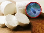 Retiran famosos quesos artesanales por contaminación con bacteria: FDA
