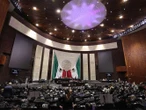 Diputados Ley del IEPS 2026