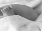 Tos ferina en México: En lo que va de 2025 han muerto 53 bebés por la enfermedad 