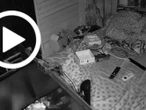 Videos del sismo en Nuevo León: Así fue el 'brusco' movimiento