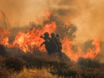 Violentos incendios en Grecia y Turquía provocan la evacuación de miles | VIDEO