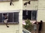 ¡Héroes en Puerto Vallarta! Vecinos salvan a perro atrapado en cuarto piso | VIDEO