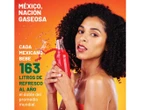 Día Mundial de la Alimentación: México entre el hambre y la obesidad, dos extremos en la misma mesa