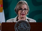 Hija de Heberto Castillo acepta 'tener el temple' para ser presidenta del Senado