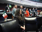 Presidirá Olga Sosa Ruíz la Comisión de Agricultura del Senado