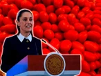 Pese a aranceles, jitomate mexicano seguirá exportándose a EU: Sheinbaum