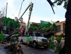 CFE restablece electricidad al 91% tras lluvias; más de 18 mil usuarios resultaron afectados