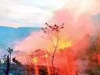 Cobran fuerza los incendios; hay activos 112, ubicados en 22 entidades
