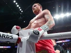 'Canelo' aún quiere la revancha