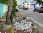Mérida entre motones de basura